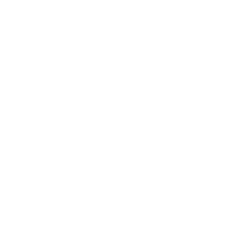 logo abfcs g